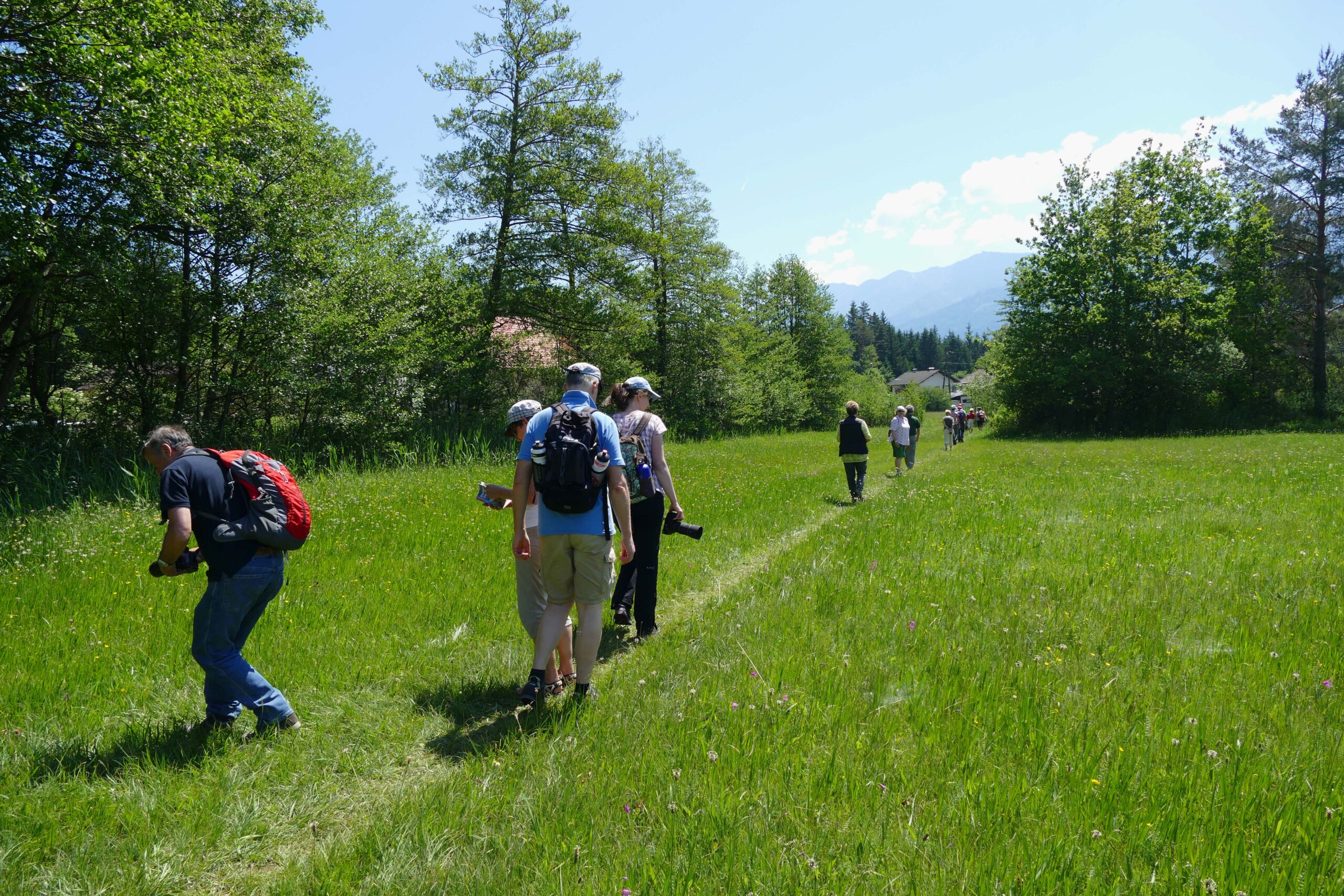 Exk teilnehmer gladiolenwiese