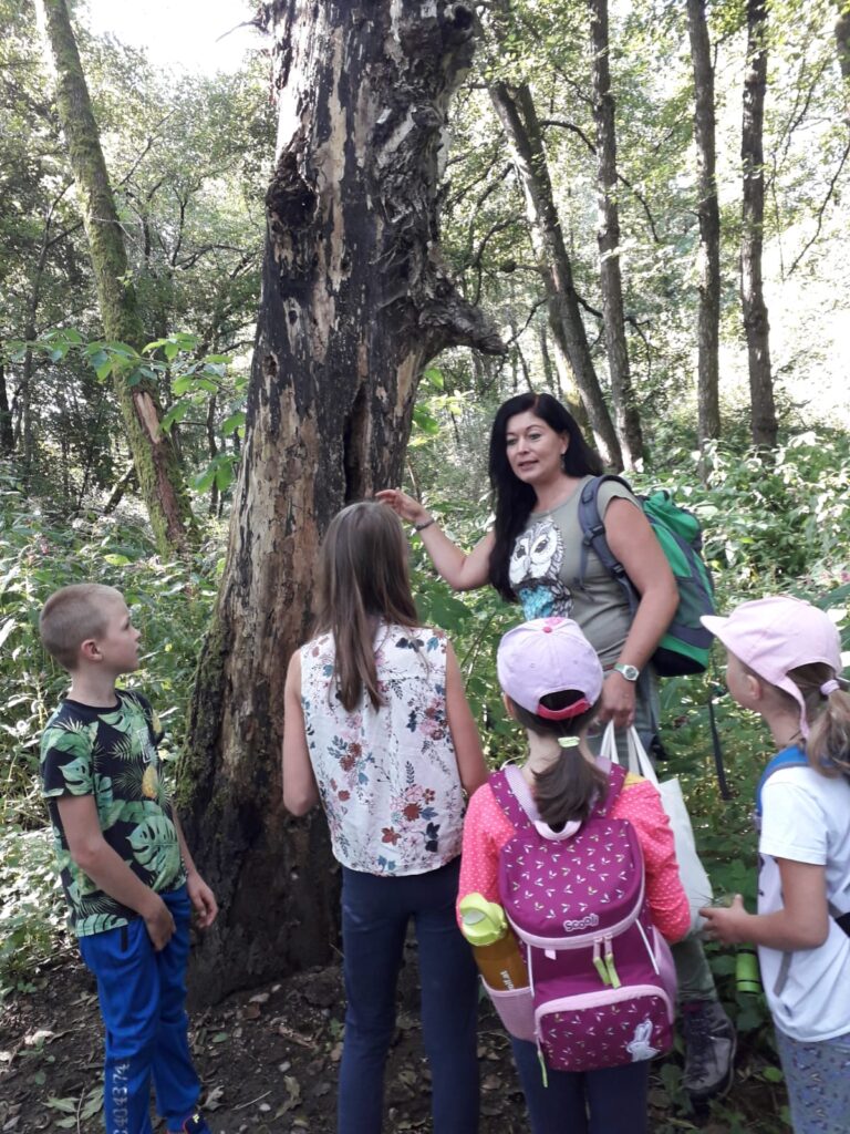 Kinderführung westbucht