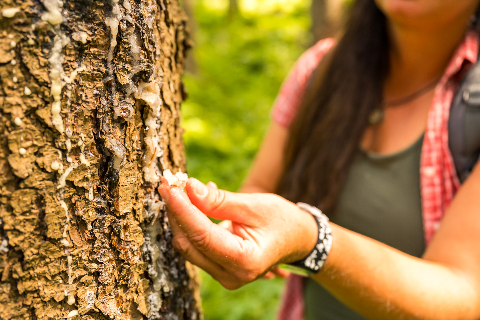 Stabentheiner dobratsch sommer barrierefrei 2021 197
