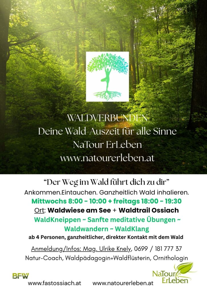 Waldverbunden 2026