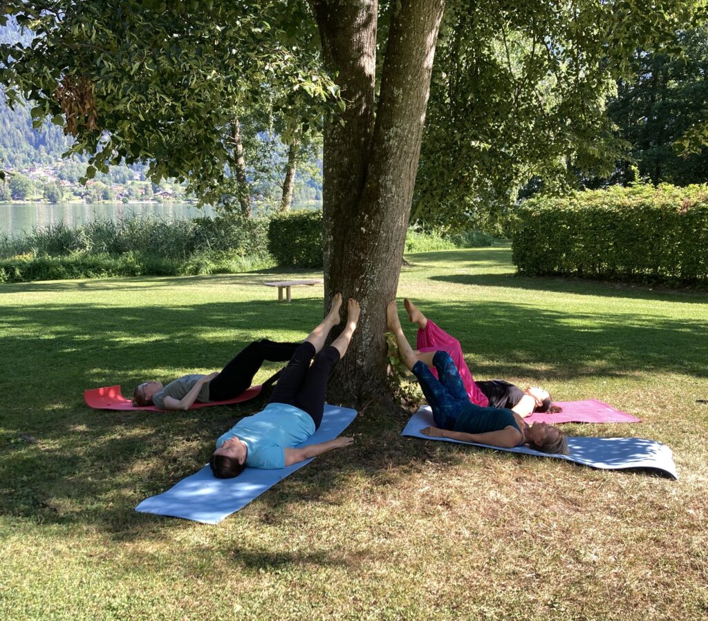 Waldyoga baum