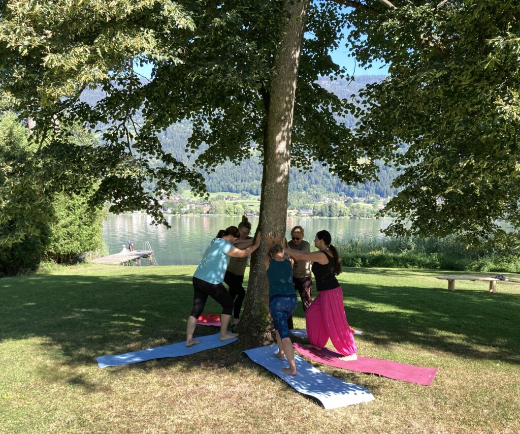 Yoga am baum