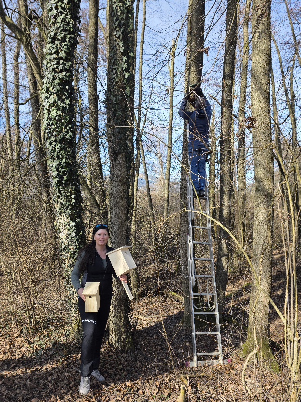 Nistkasten aktion 03 2026