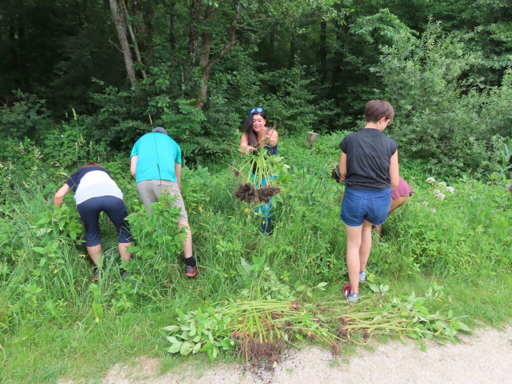 Nph bekämpfungsaktion